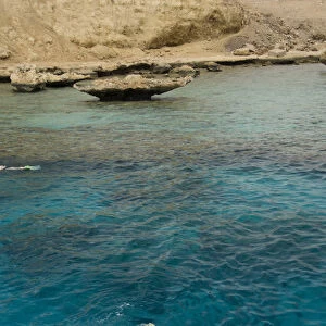 Egypt, Sinai Peninsula, Gulf of Tiran, Sharm El-Sheikh (aka Red Sea Riviera). Snorkeling
