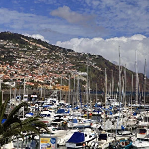 Europe, Portugal, Madeira. Boats in the harbor at Funchal, Madeira
