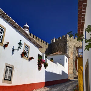 Europe; Portugal; Obidos; Street of the Old Walls of Town