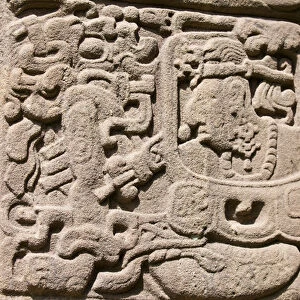 Guatemala, Quirigua. Mayan stelae at Quirigua Archaeological Park (UNESCO World Heritage SIte)