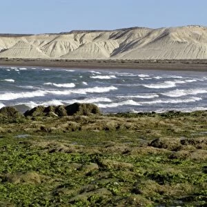 Patagonian coast