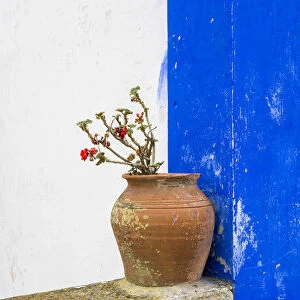 Portugal, Obidos. Plant in a terracotta pot on stone bench