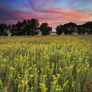 Prairie at sunset, Homestead National Monument of America, Nebraska, USA