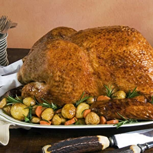 Roast Turkey with potatoes and chestnuts
