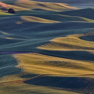 Rolling wheat fields as seen from above Steptoe Butte State Park, Washington State