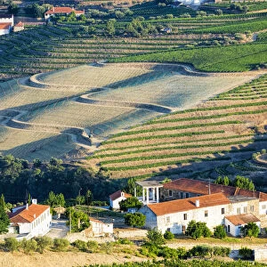 Terraced vineyards lining the hills of the Douro Valley