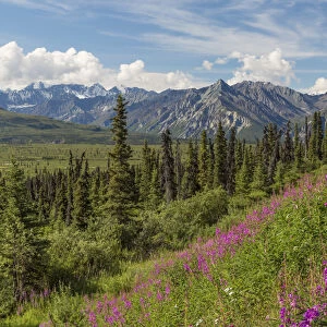USA, Alaska. Landscape of Chucach Mountains