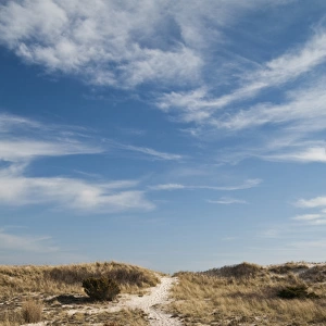 USA, New York, Robert Moses State Park (Long Island). Dunes