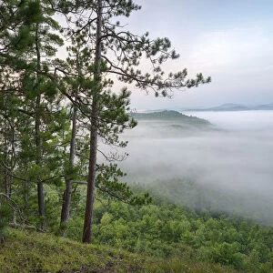 USA, New York State. Mountains enshrouded in morning fog, Kipp Mountain, Adirondack Mountains