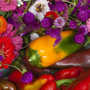 USA; North America; Georgia; Savannah; Fresh colorful organic vegetables and flowers