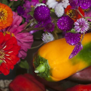 USA; North America; Georgia; Savannah; Fresh colorful organic vegetables and flowers