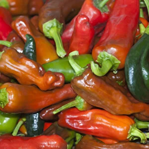 USA; North America; Georgia; Savannah; Fresh colorful peppers at a Farmers Market