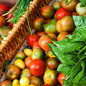 USA; North America; Georgia; Savannah; Tomatoes and basil at Farmers Market. (PR)