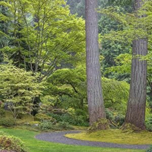 USA, Washington State, Bainbridge Island. Garden path composite panoramic