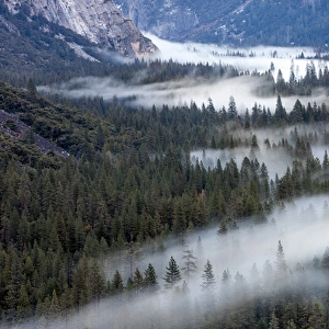 Valley mist. Yosemite, California, US