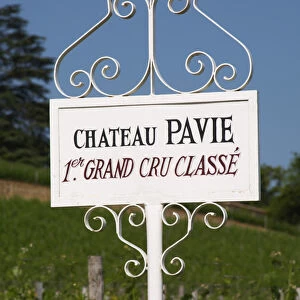 A white sign in the vineyard of Chateau Pavie 1st, premier first Grand Cru Classe