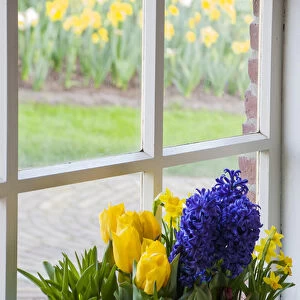 Window with spring flower arrangement