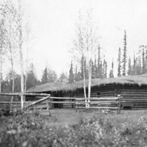 ALASKA: LOG CABIN. A log house with a thatched roof on a farm in Fairbanks, Alaska