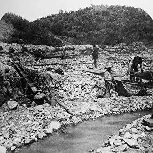CHINESE PROSPECTORS, c1851. Chinese immigrants working at placer mining in California