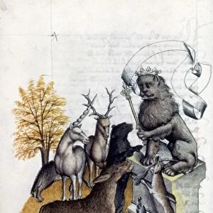 LION, KING OF BEASTS. Austrian manuscript illumination, late 15th century
