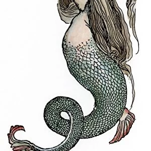 MERMAID, C1890. A mermaid princess. Illustration from one of Andrew Langs fairy tale collections