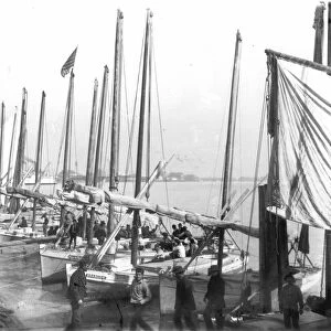 NEW ORLEANS: LEVEE, 1906. Fishing fleet at the levee. Photograph, c1906