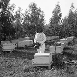 PALESTINE: BEEKEEPER. A young woman beekeeper at a Zionist colony on Sharon Plain, Palestine
