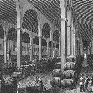 SPAIN: WINERY. Winery in Jerez, Spain. 19th century engraving
