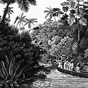 TRAVELS IN BRAZIL, 1820. A drawing from Prince Alexander Philipp Maximilian of