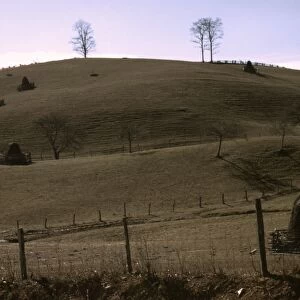 VIRGINIA: FARM, c1940. A mountain farm along the Skyline Drive, Virginia