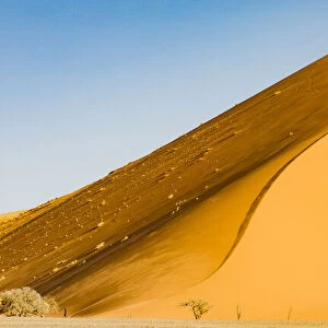 A tall dune in the Namib Naukluft Park in Namibia