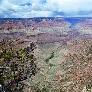 CJ3 3765 Grand Canyon vista