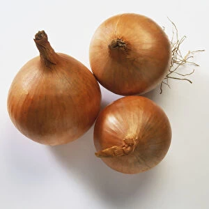 Allium cepa, three Onions, close up