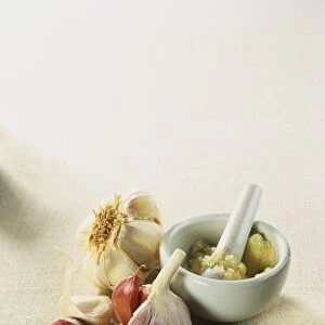 Allium sativum, Garlic, dried heads and cloves, crushed by pestle in mortar
