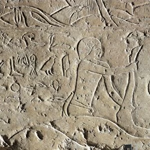 Detail of Ancient Egyptian limestone relief depicting butchering of bull, Old Kingdom