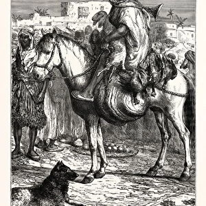 An Arab Merchant at Tlemcen, Algeria