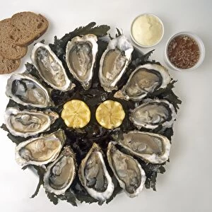 Arcachon oysters served with rye bread, butter and lemon served on seaweed