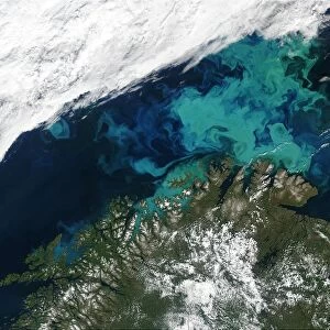 Barents Sea July 19th, 2003, as seen by MODIS. Image courtesy of Jacques Descloitres