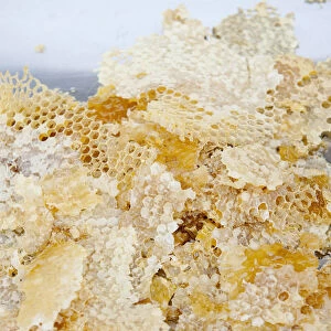 Bits of honeycomb scraped out from frame