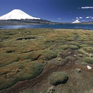 Chile, Norte Grande, Andean Tarapaca, Lauca y Putre National Park, Snow on Parinacota Volcano and Lake Chungara