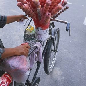 China, Inner Mongolia, Hohhot, vendor on a bicycle transporting candied apples