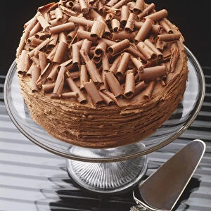 A chocolate cake topped with chocolate shavings, served on a glass pedestal cake stand