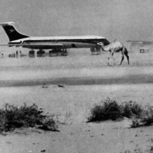 Dawsons Field hijackings, 6 September 1970: Four jet aircraft bound for New