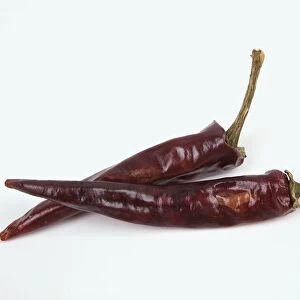 Two dried red chilli peppers