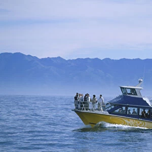 Eco-Tourism boat on the waters off the Kaikoura coast, looking for a pod of sperm whales, South Island, New Zealand