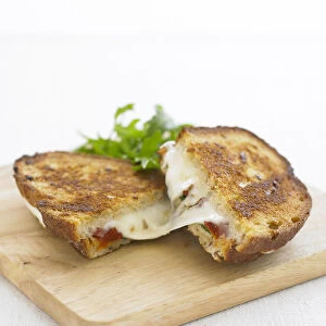 Fried mozzarella and tomato sandwich, close-up