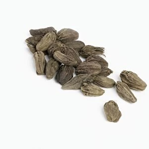 Heap of black cardamom seed pods