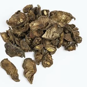 Heap of dried kokum fruit