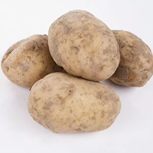Heap pf Bintje potato with soil on skins