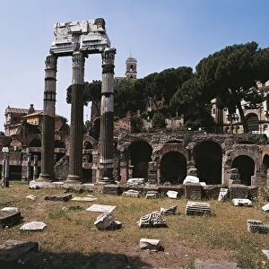 Italy, Latium region, Rome, Imperial Fora, Forum of Caesar, columns of Temple of Venus Genetrix